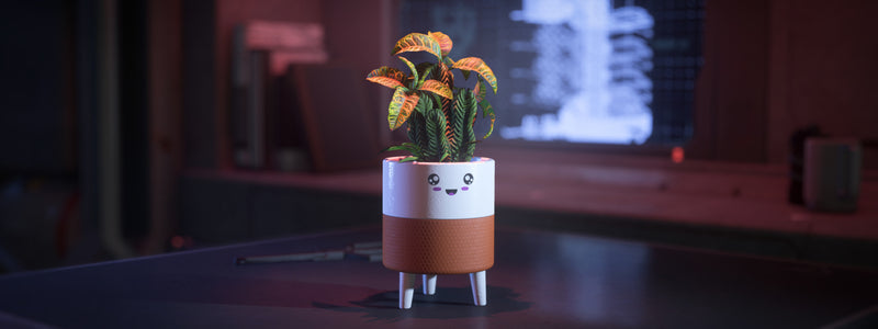 Hello Sunshine Happy Planter