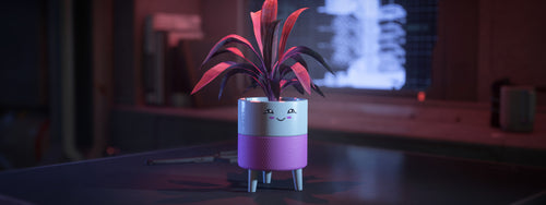 Hello Sunshine Cheeky Planter